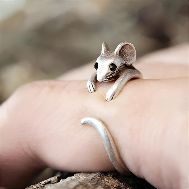 Ringatouille